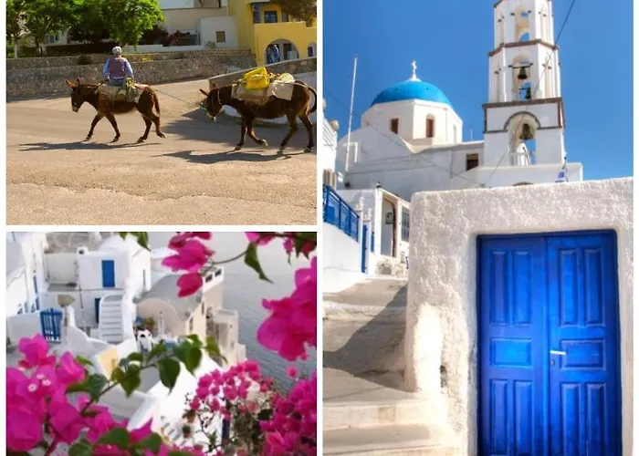 Flora's House & Cave Winery