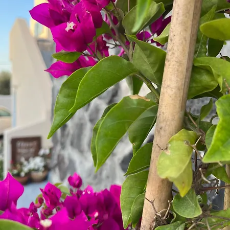 Flora's House & Cave Winery Pýrgos