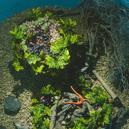 度假居 Flora's House & Cave Winery Pýrgos