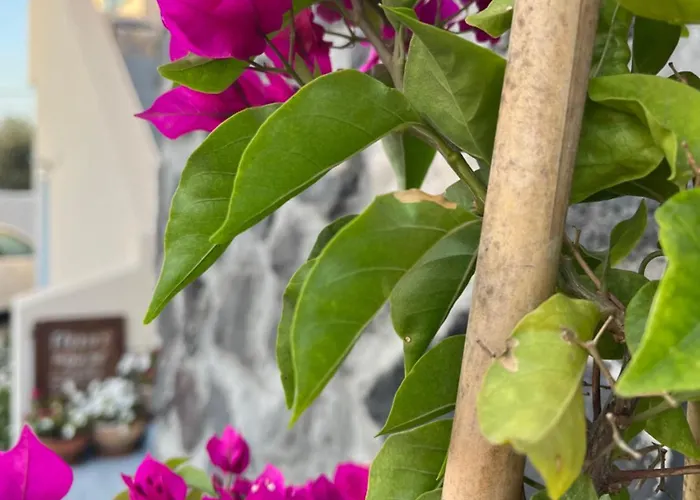 Flora's House & Cave Winery Pýrgos