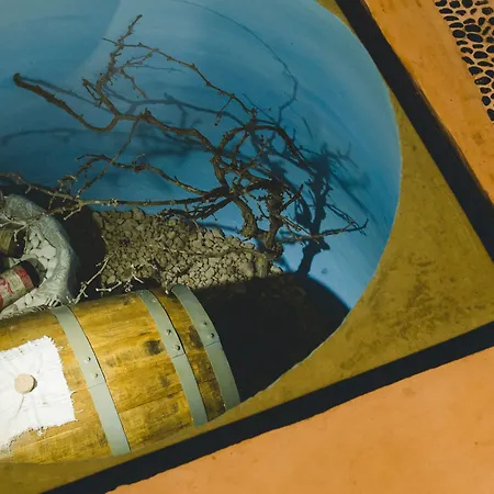 Flora's House & Cave Winery