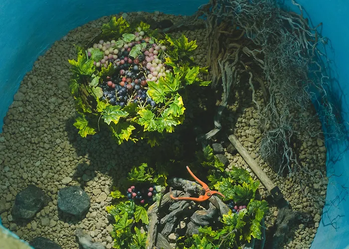 Holiday home Flora's House & Cave Winery Pyrgos Kallistis