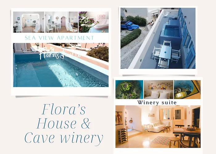 Flora's House & Cave Winery Holiday home Pyrgos Kallistis