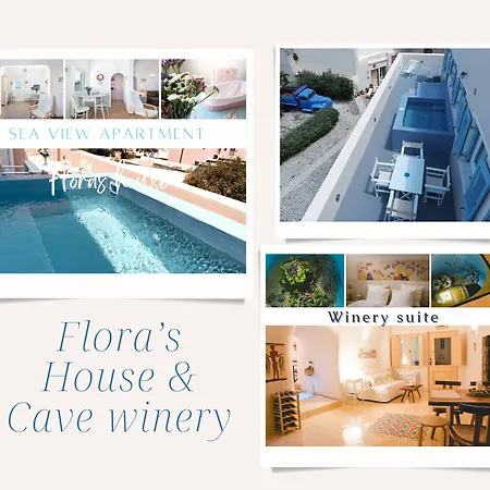 Flora's House & Cave Winery Vakantiehuis Pýrgos